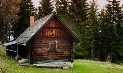 Alte Blockhütte im Wald