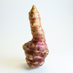 Topinambur Gemüse vor weißem Hintergrund