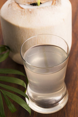 Coconut and coconut water