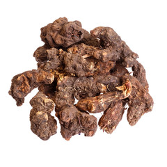 Galangal root for medical use isolated on white.