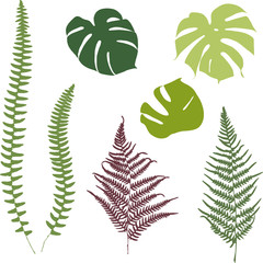 Fern and monstera silhouettes