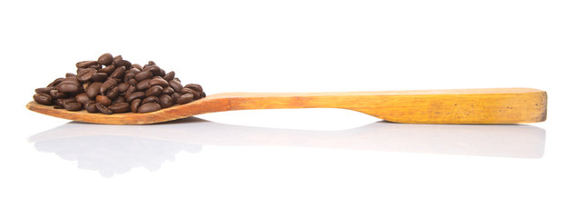 Roasted coffee beans on wooden spatula