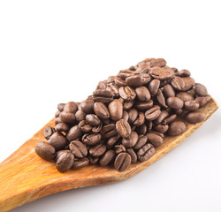 Roasted coffee beans on wooden spatula