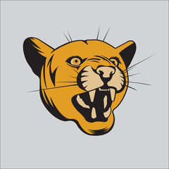 пума, дикая кошка