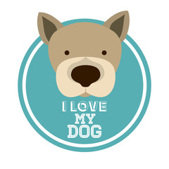 Love pet design