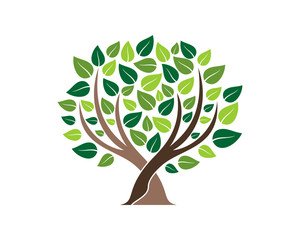 Obraz premium Life Tree