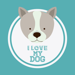 Love pet design