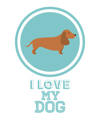 Love pet design