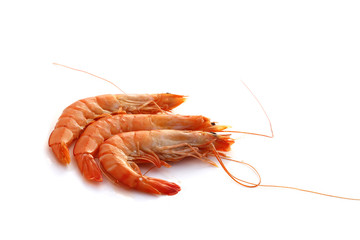 Crevettes