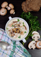 creamy soup pureed mushrooms and chicken
