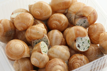 Escargots