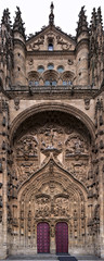 Fototapeta na wymiar Gateway to the New Cathedral in Salamanca. Spain