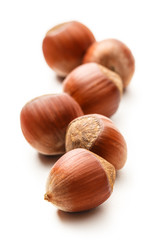 Fresh brown hazelnut