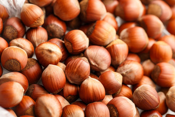 Fresh brown hazelnut
