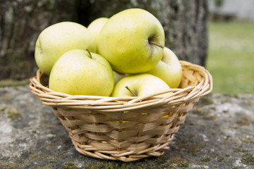 wicker basket with green apples
