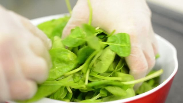 chef prepares spinach for mixing