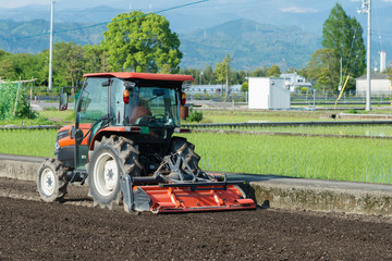 Tractor Tilling a Rice Field