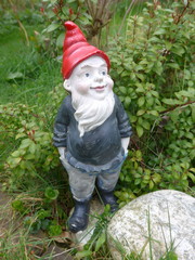 Garden gnome - Bild -