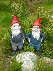 Funny garden gnomes - Bild -