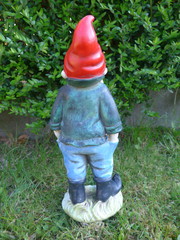 garden gnome from behind - Bild-