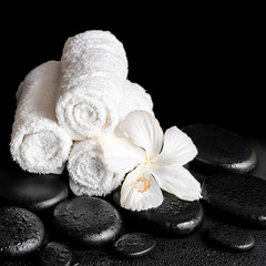 Obraz na płótnie Canvas beautiful spa concept of white hibiscus flower and towels on zen