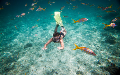 Snorkeler