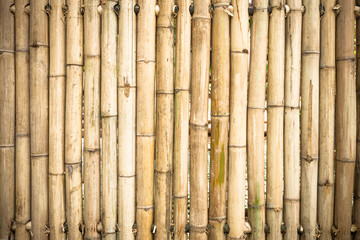 grunge yellow bamboo background and texture