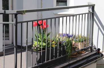 Beautiful modern terrace with mix of spring flowers