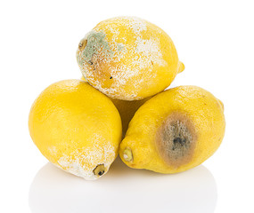 Heap of decayed lemon isolated on white background.