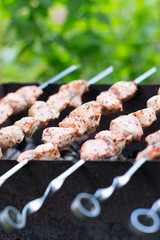 Shashlik on the brazier over hot coals