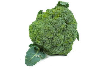 Green rip broccoli isolated