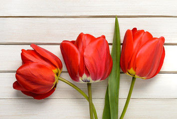 three red tulips, wooden strips and white background