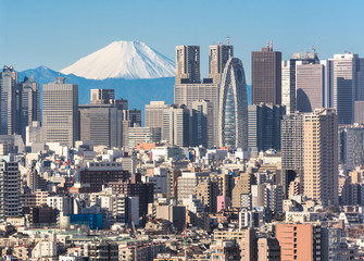 Tokyo cityscape and Mountain fuji in Japan