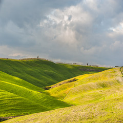 Fototapeta premium Beautiful fields, hills and roads of Tuscany, Italy