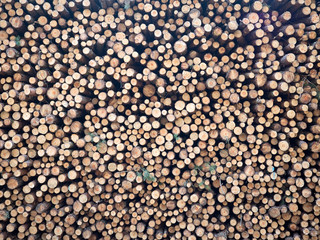 Holzstapel