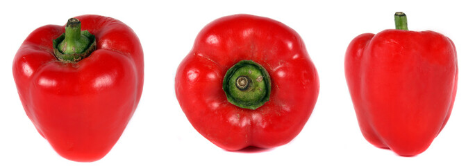 Capsicum