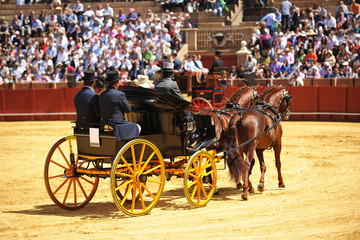 Exhibición de coches de caballos, Maestranza, Sevilla, España