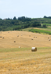 Fototapeta premium Montalcino (Tuscany, Italy)