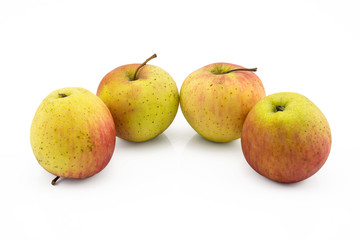 four apple still life on white background
