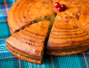 Slice of sponge cake Zebra