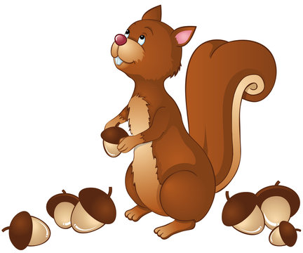 rotes Eichh&ouml;rnchen