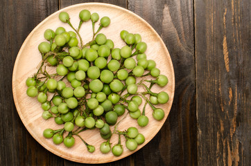 Turkey berry or Pea Eggplant, Native vegetable in Thailand