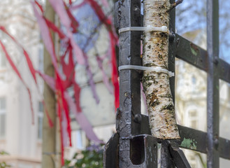 Maibaum an altem Tor befestigt