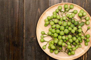 Turkey berry or Pea Eggplant on wooden background