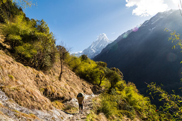 Obraz premium A porter walking a scenic trail towards Mount Machapuchare