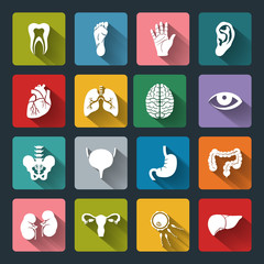 Set of vector Medical Icons with human organs in flat style