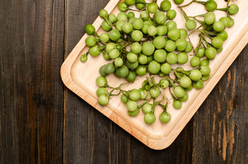 Turkey berry or Pea Eggplant on wooden background
