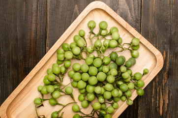 Turkey berry or Pea Eggplant, Native vegetable in Thailand