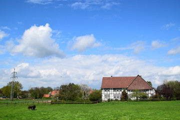 Obraz premium Schaumburger Rundwalm