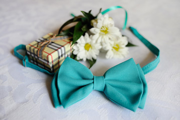 blue bow tie against white daisies